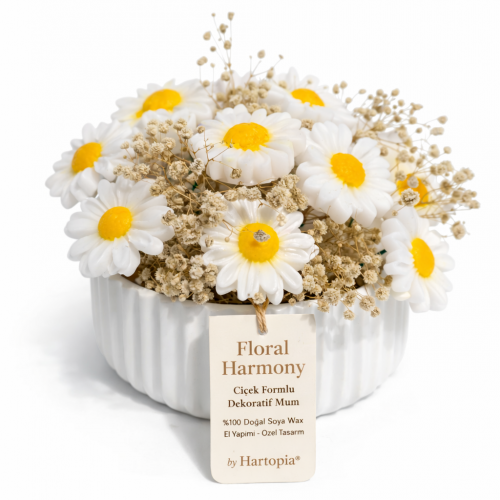Hartopia Floral Papatya – Mum Buketi (Flüt Saksı Serisi)