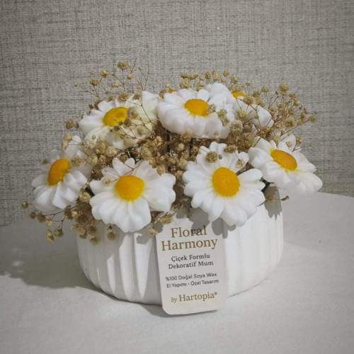 Çiçek Tasarımlı Dekoratif Soya Wax Mum – Papatya Serisi | Hartopia
