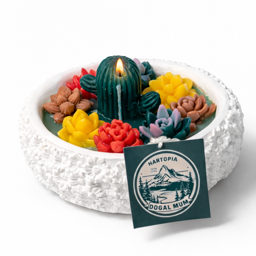 Hartopia Sukulent Mum Bahçesi